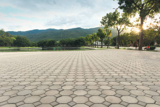 Best Residential Paver Driveway  in Kekaha, HI